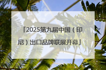 2025第九届中国（印尼）出口品牌联展开幕