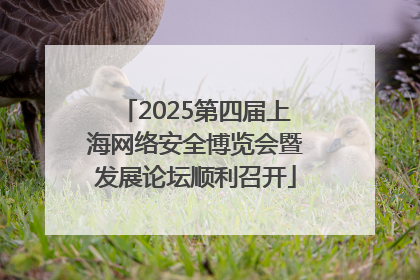 2025第四届上海网络安全博览会暨发展论坛顺利召开