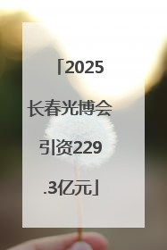 2025长春光博会引资229.3亿元
