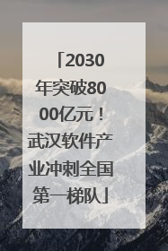 2030年突破8000亿元！武汉软件产业冲刺全国第一梯队