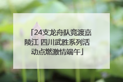 24支龙舟队竞渡嘉陵江 四川武胜系列活动点燃激情端午