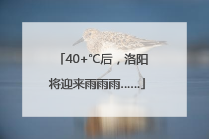 40+℃后，洛阳将迎来雨雨雨……
