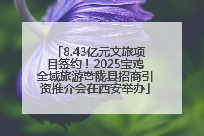 8.43亿元文旅项目签约！2025宝鸡全域旅游暨陇县招商引资推介会在西安举办