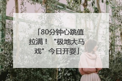 80分钟心跳值拉满！“极地大马戏”今日开耍