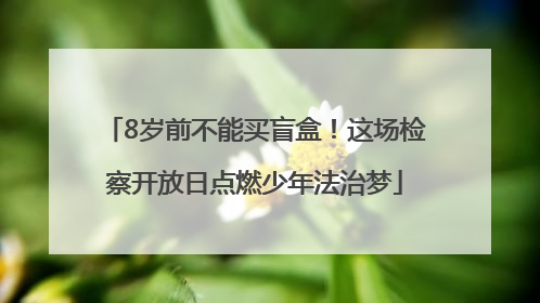 8岁前不能买盲盒！这场检察开放日点燃少年法治梦