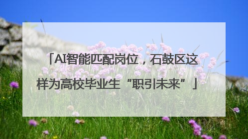 AI智能匹配岗位，石鼓区这样为高校毕业生“职引未来”