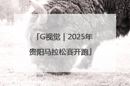G视觉｜2025年贵阳马拉松赛开跑