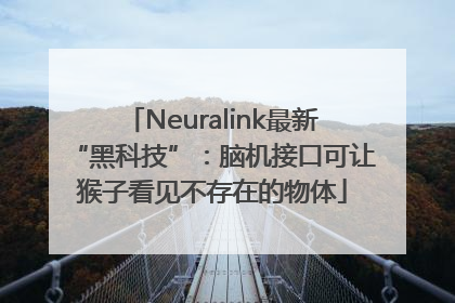 Neuralink最新“黑科技”：脑机接口可让猴子看见不存在的物体
