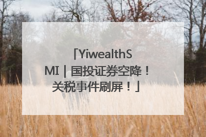 YiwealthSMI｜国投证券空降！关税事件刷屏！