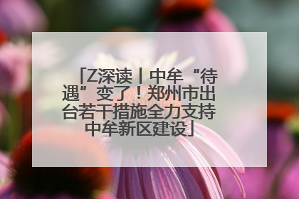 Z深读丨中牟“待遇”变了！郑州市出台若干措施全力支持中牟新区建设